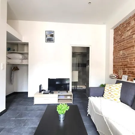 Апартаменты Providence Terrasse Privee - Proche Gare Sncf Тулуза